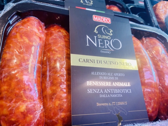 Arrivages de porc noir de Calabria élevage en pleine air et sans antibiotiques